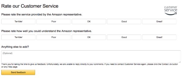 snapshot of Amazon's customer service survey